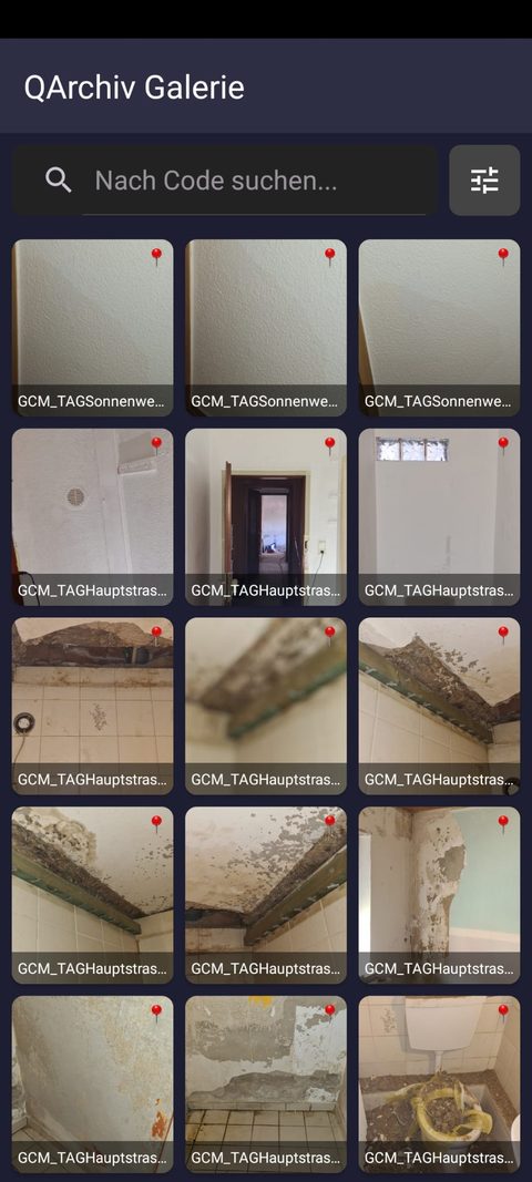 QArchiv Galerie-Ansicht mit Suche